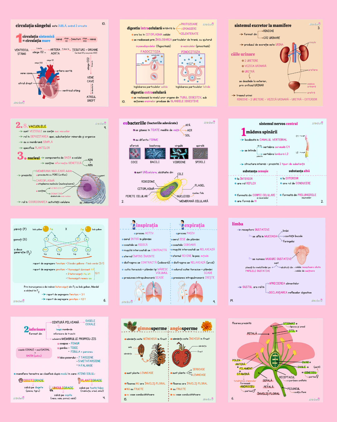 BIOde10 biologie vegetală și animală