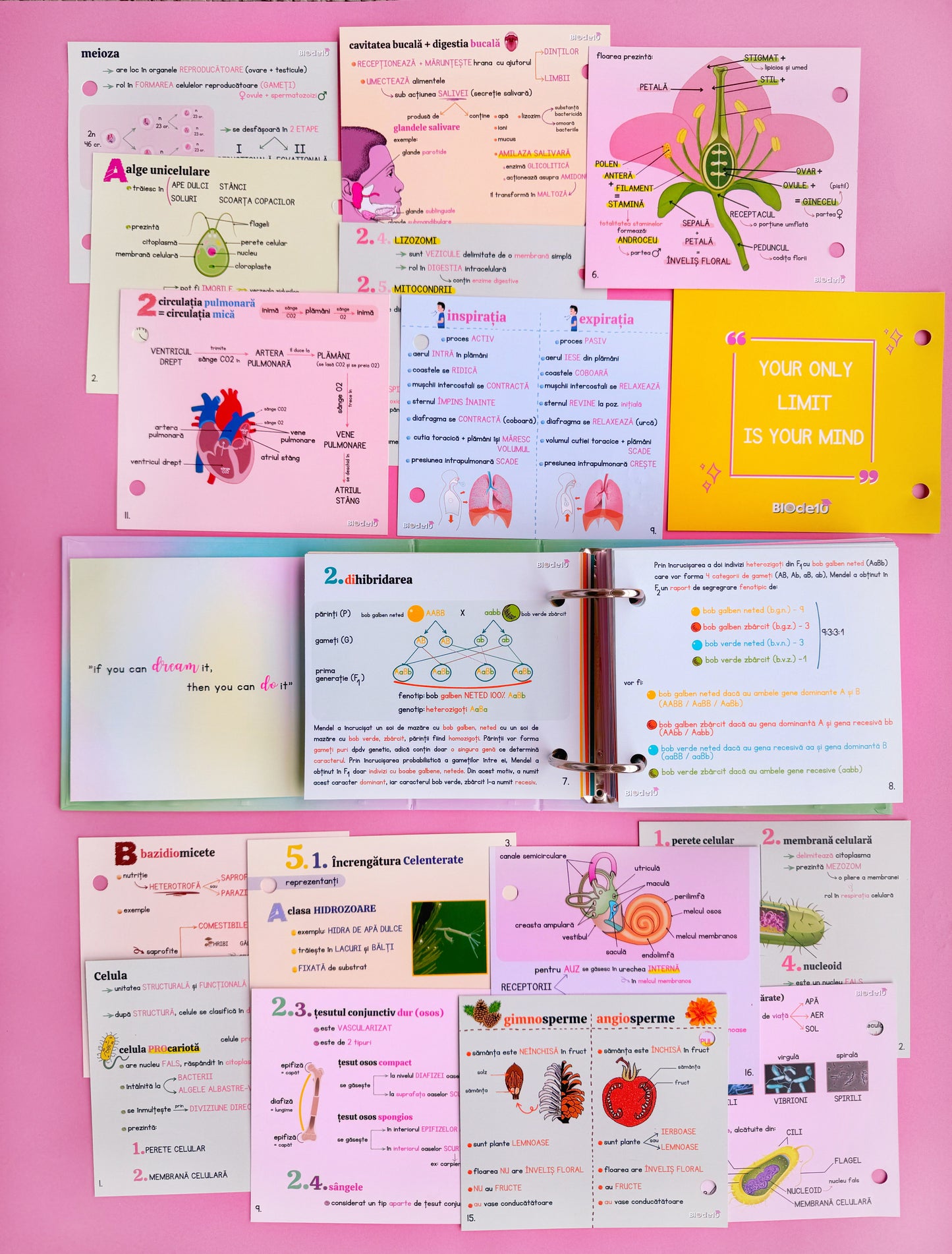 BIOde10 biologie vegetală și animală