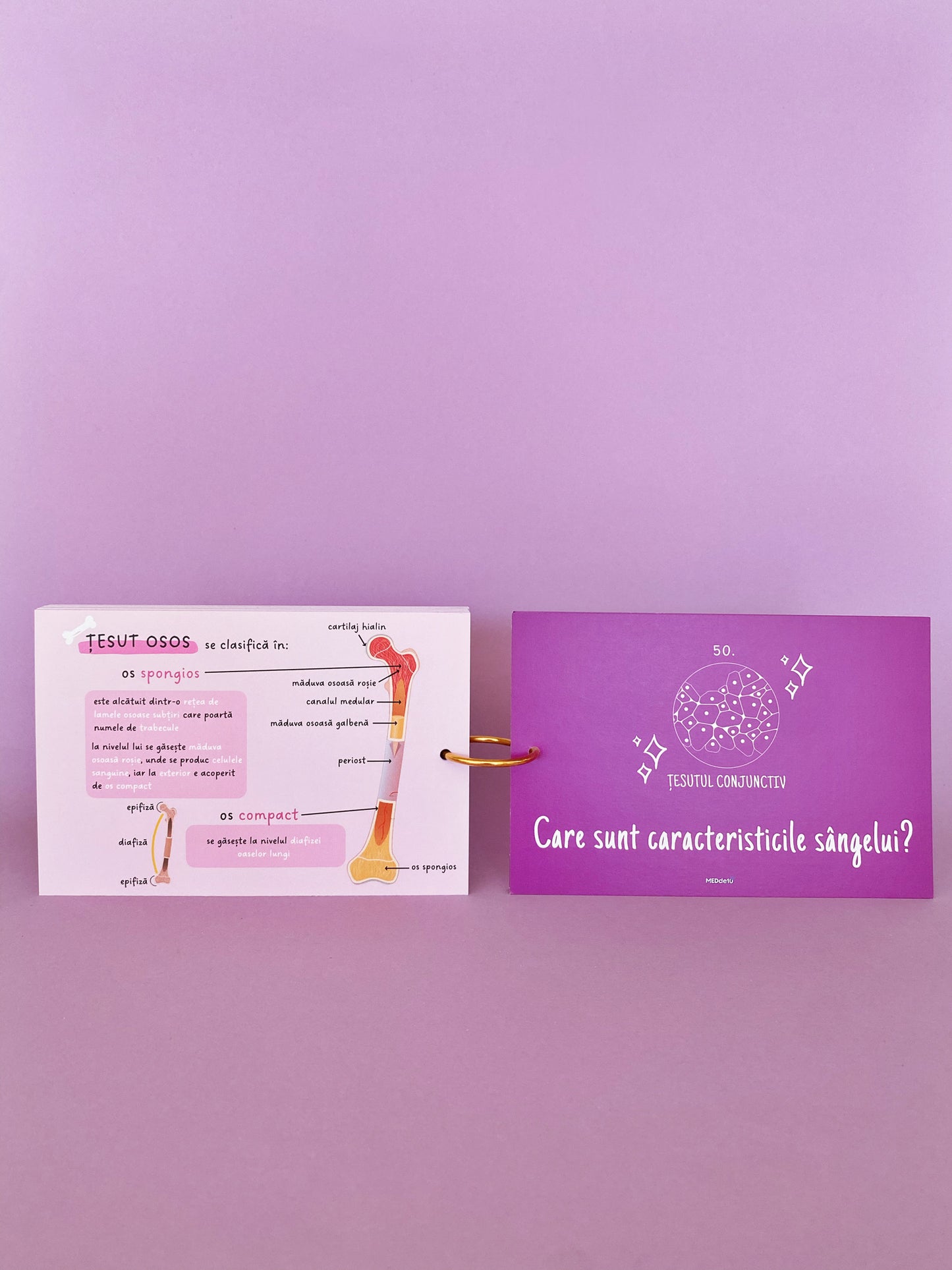 Flashcards Barron's ȚESUTURI