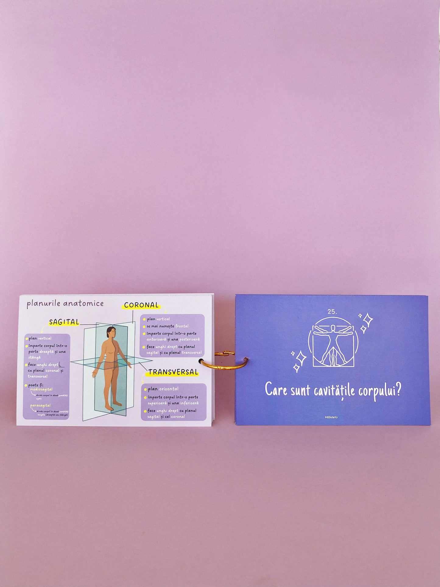 Flashcards Barron's INTRODUCERE