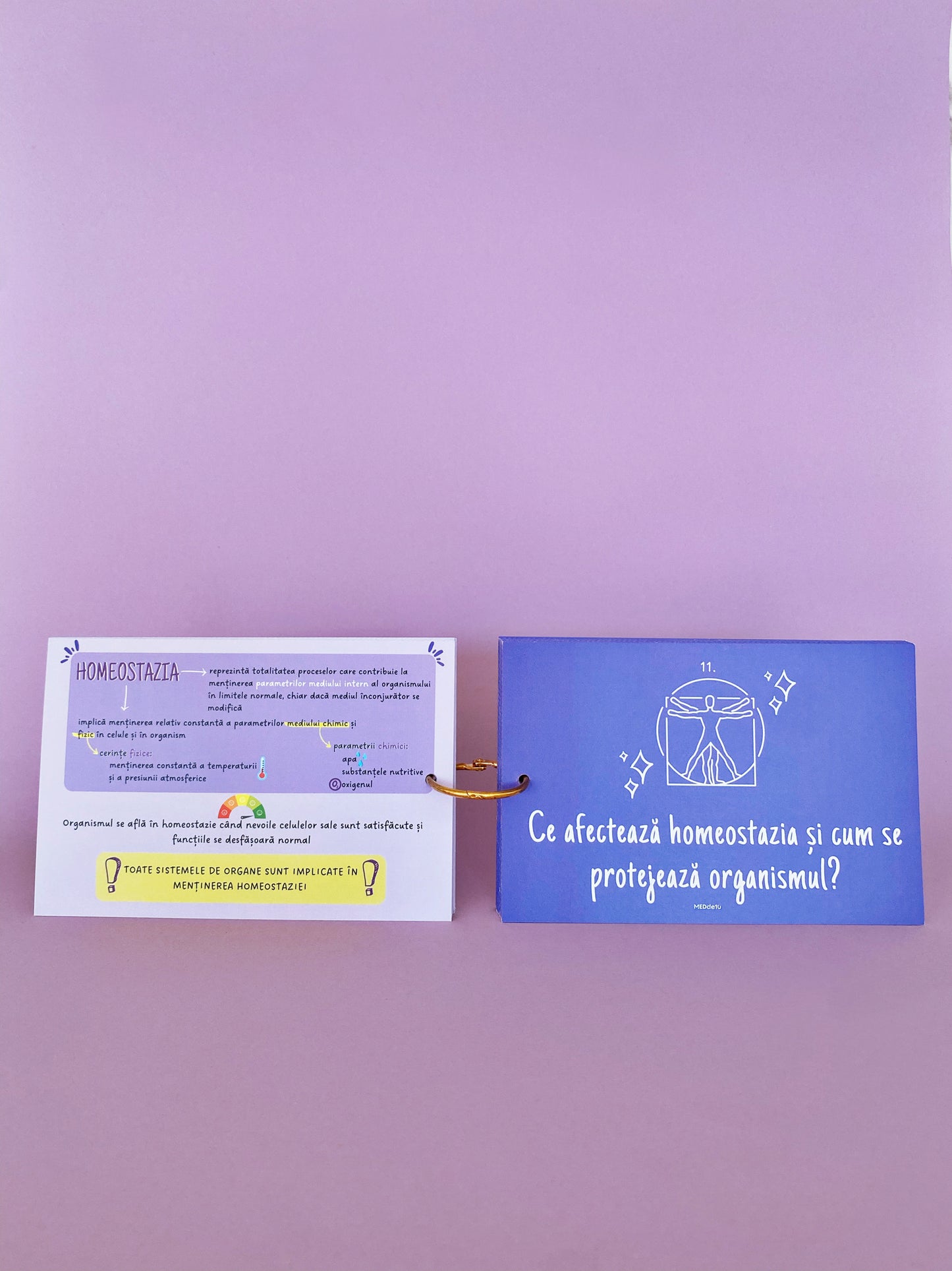 Flashcards Barron's INTRODUCERE