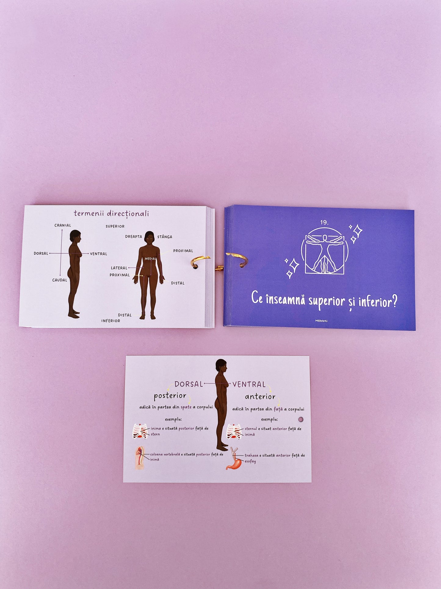 Flashcards Barron's INTRODUCERE