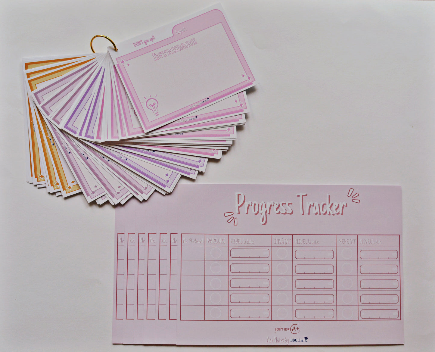 Flashcards & Progress Tracker