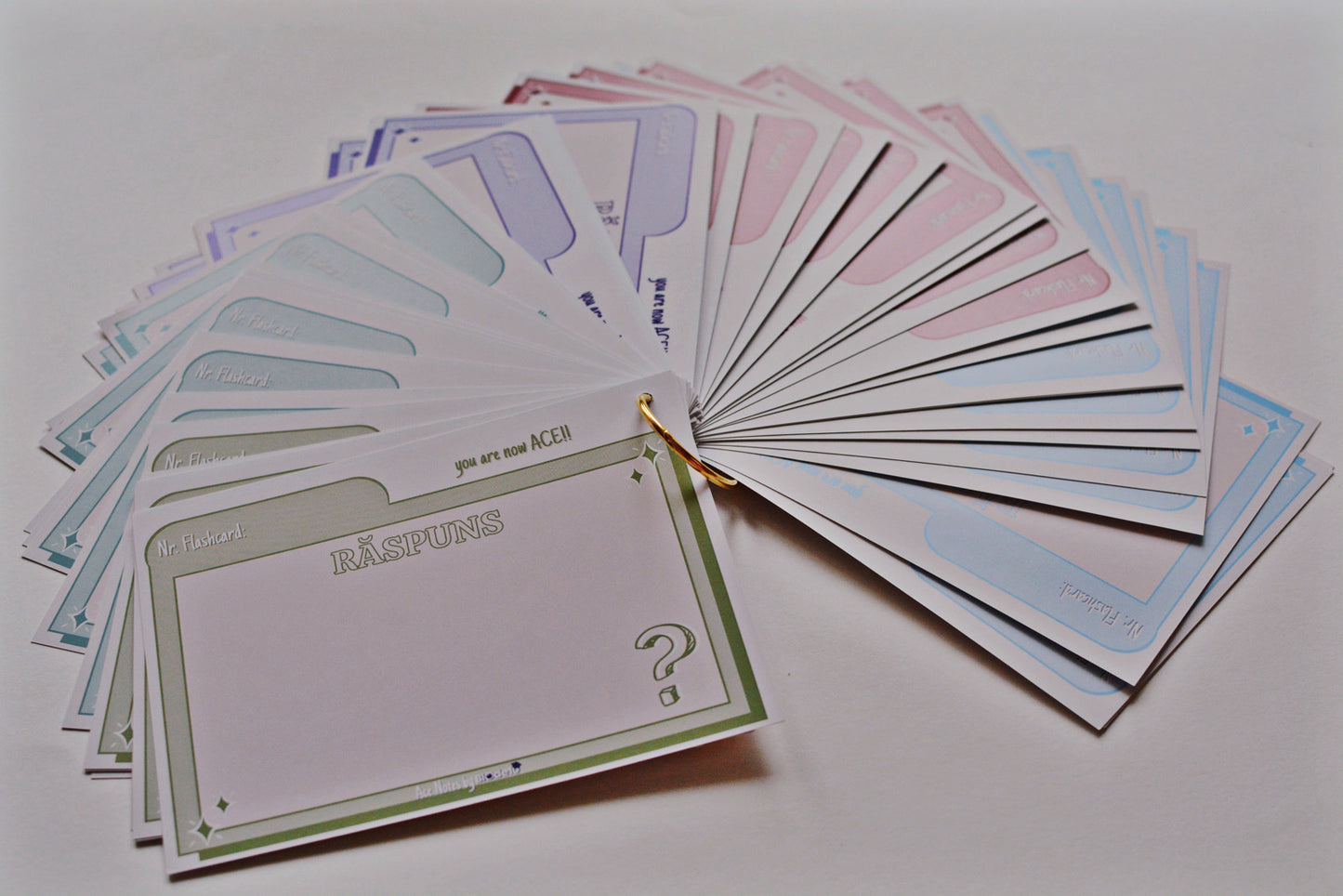 Flashcards & Progress Tracker