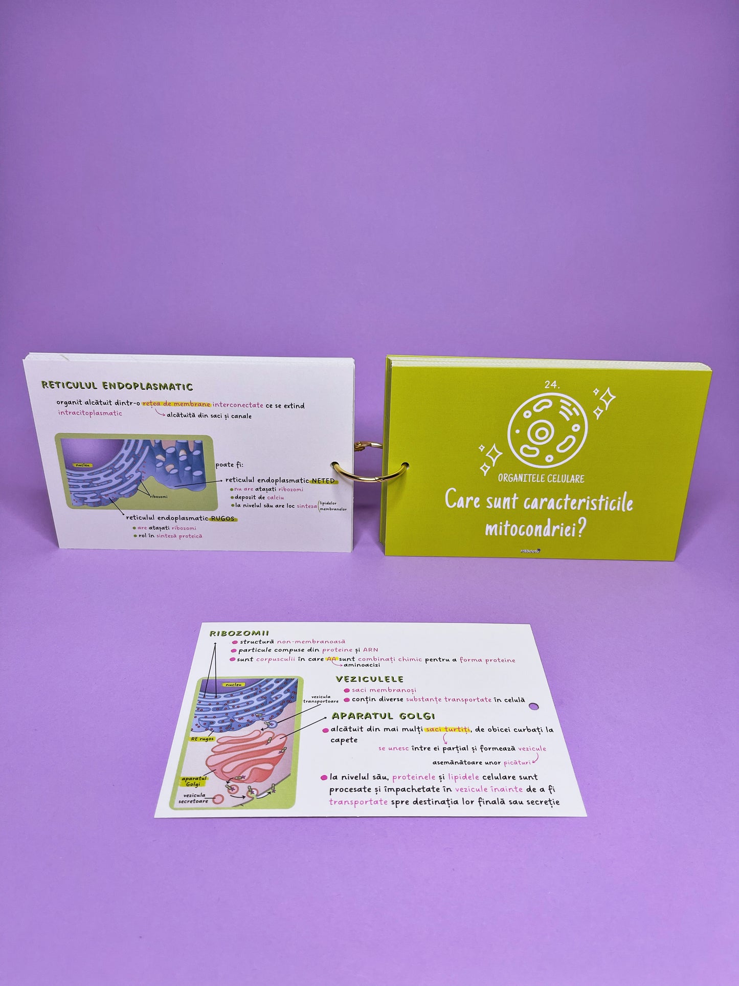 Flashcards Barron's CELULA