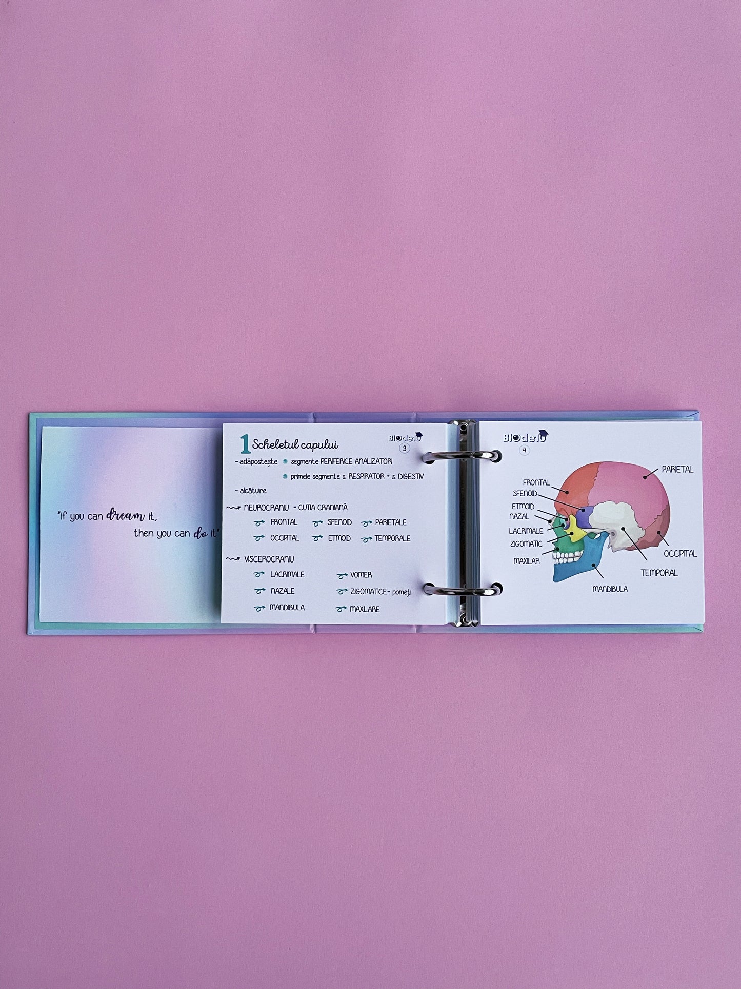 BIOde10 STARTER