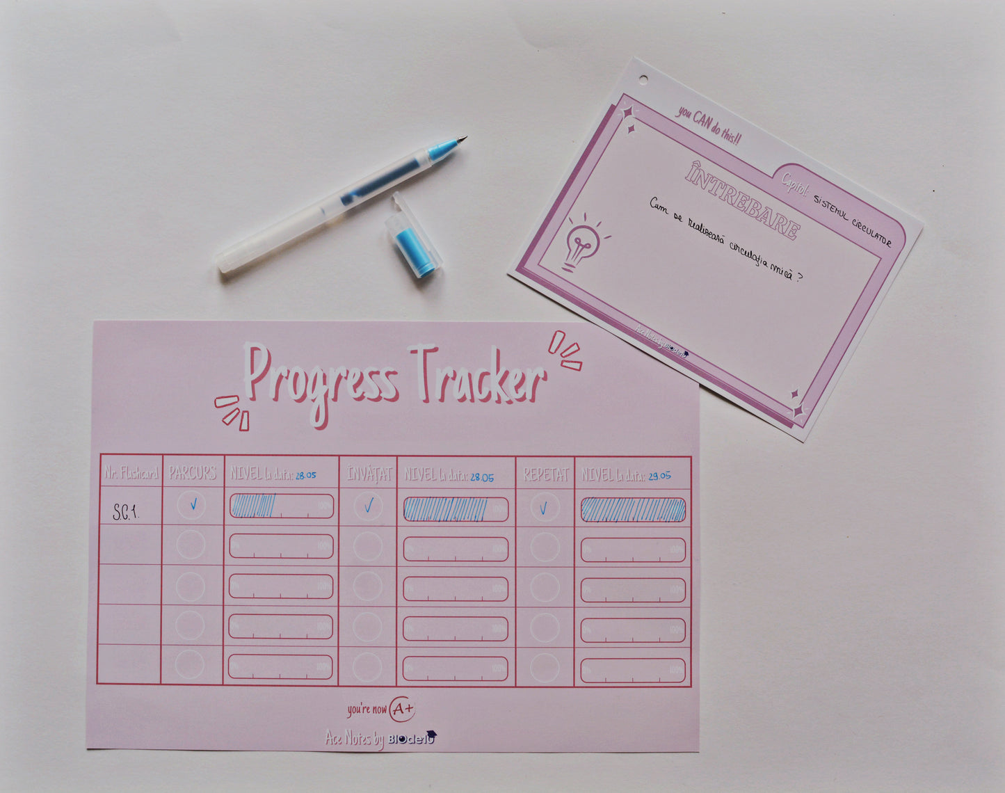 Flashcards & Progress Tracker