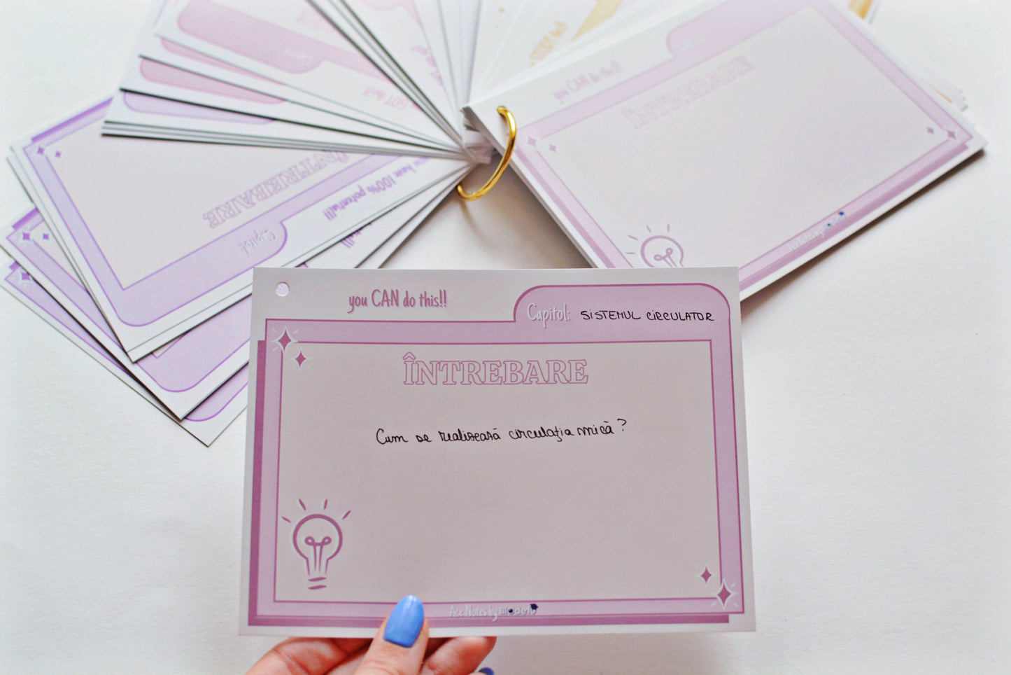 Flashcards & Progress Tracker