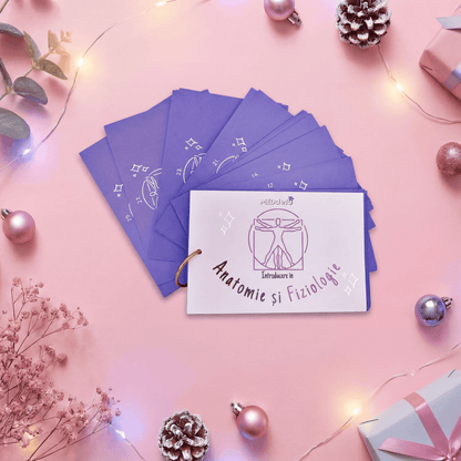 Flashcards Barron's INTRODUCERE