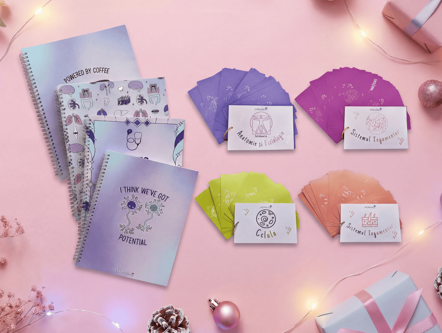 Pachet CAIETde10 + Flashcard MEDde10