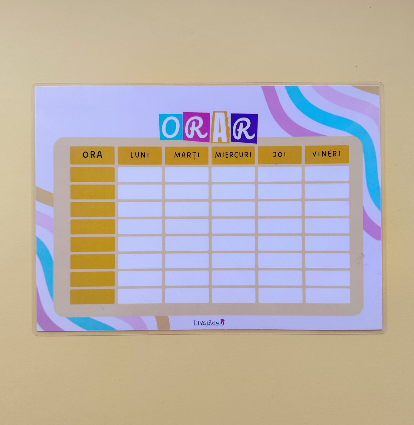 Study Plan