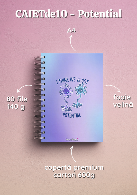 CAIETde10 Medicinist - Potential A4 80 file